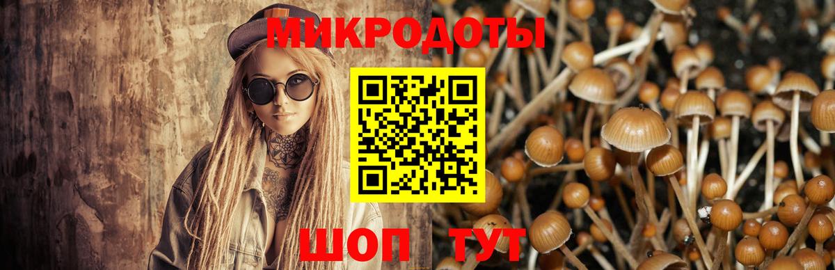 Галлюциногенные грибы Psilocybe  Вход с VPN  Псилоцибиновые грибы MAGIC MUSHROOMS  где продают   Печора 